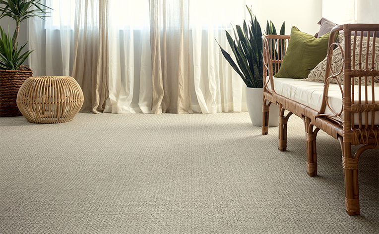 grey carpet in living area with plant