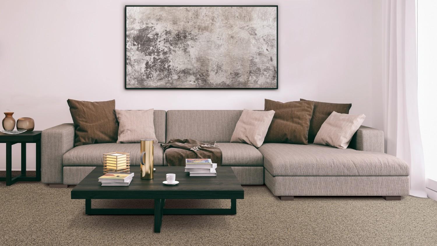 carpet in living room